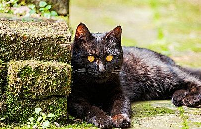 《拆迁》正式版将于本月推出 开机甲搞暴力拆迁